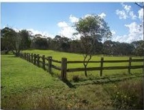 Fence, Fencing Services, Repairing Fences in Germantown, TN